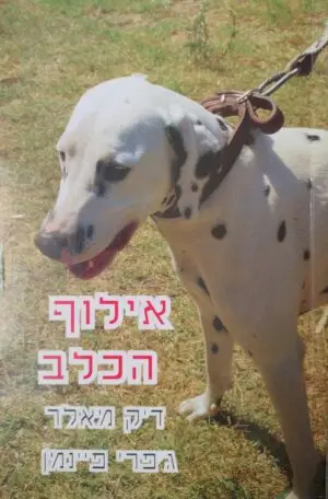צילום של הספר אילוף הכלב / דיק מאלר
